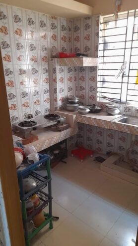 Female Room Mate need in A flat Chittagong