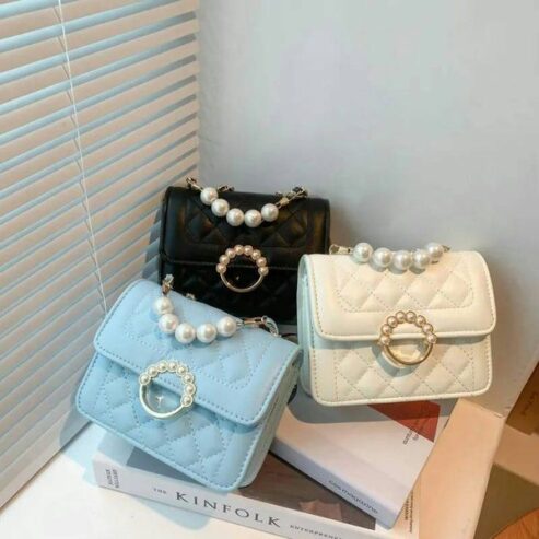 Ladies bag