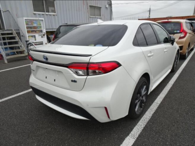 Toyota Corolla WXB 2019