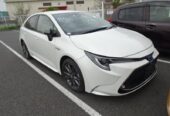 Toyota Corolla WXB 2019