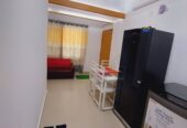 Rent Furnished Apartment  with cozy interior for in Dhaka