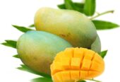 Order Rajshahi Mango