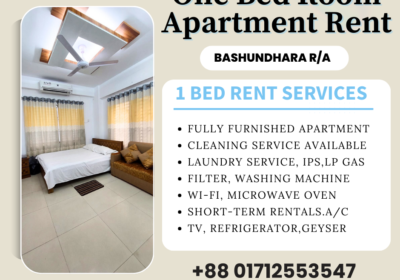 1Bed-Room-Apartment-Rent
