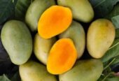 Order Rajshahi Mango