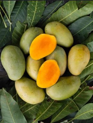 Order Rajshahi Mango