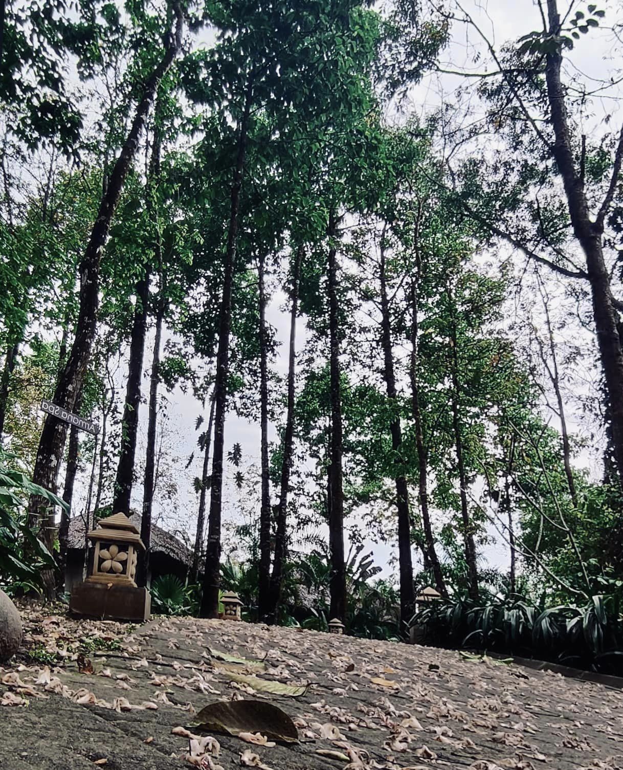 DuSai Resort and Spa in Sylhet