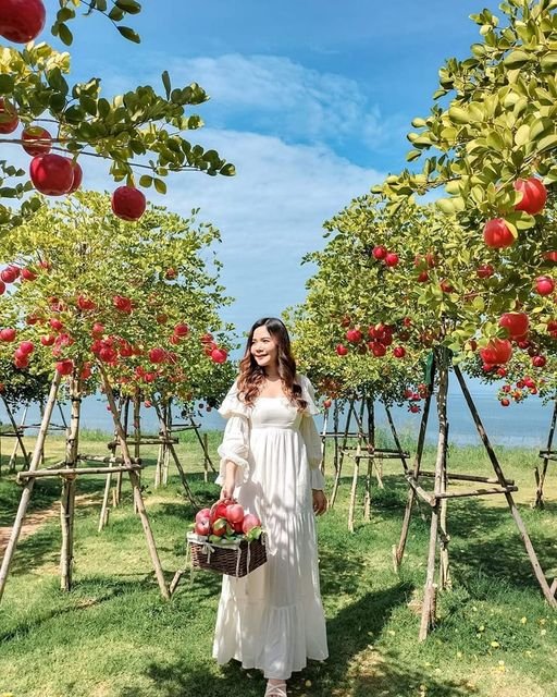 Thailand Tour Package