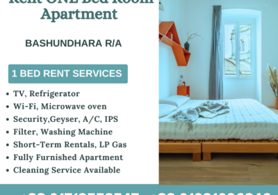 one-Bed-Room-Apartment-Rent