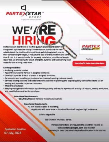 Sales Executive Job