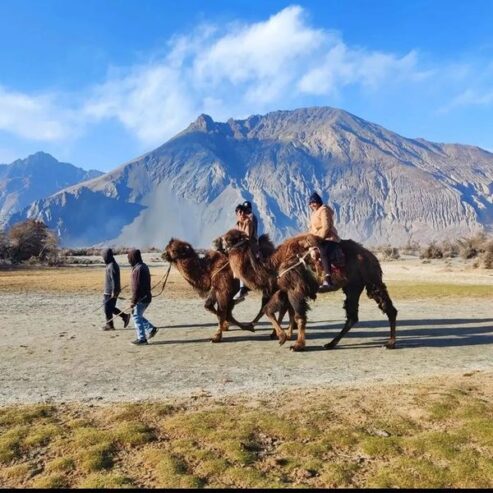 Ladakh Kashmir Trip