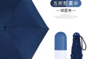 Capsule Umbrella for sale