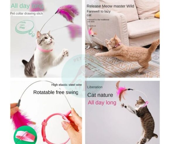 Cat Toys | Discount Sale