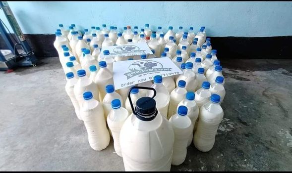 Fresh Milk in Khulna