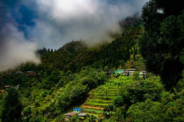 Darjeeling Trip