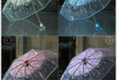 Transparent Umbrella