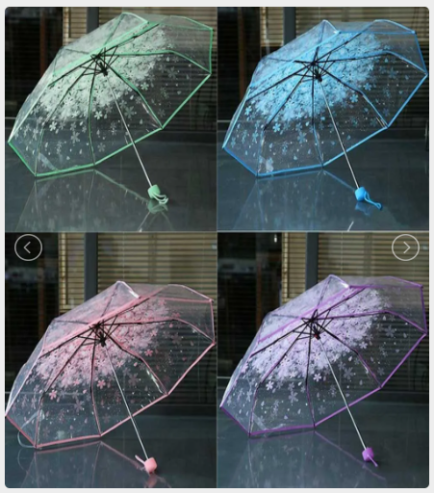 Transparent Umbrella