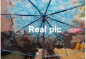 Transparent Umbrella