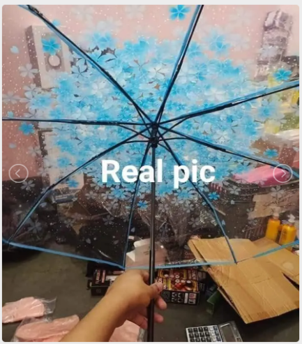 Transparent Umbrella