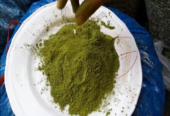 Moringa Powder (সজনে পাতা গুড়া)-৫০০ গ্রাম