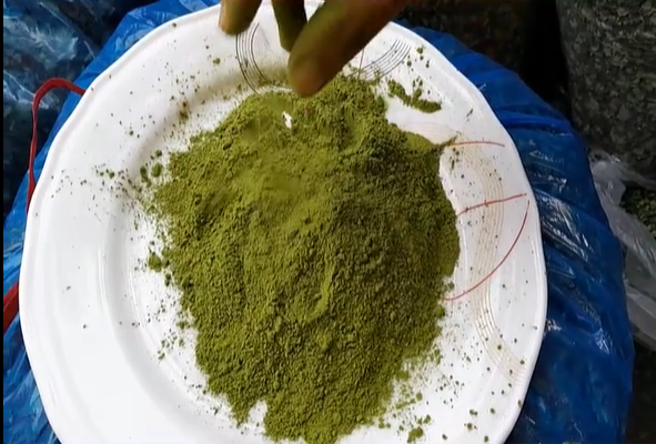 Moringa Powder (সজনে পাতা গুড়া)-৫০০ গ্রাম