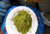 Moringa Powder (সজনে পাতা গুড়া)-৫০০ গ্রাম