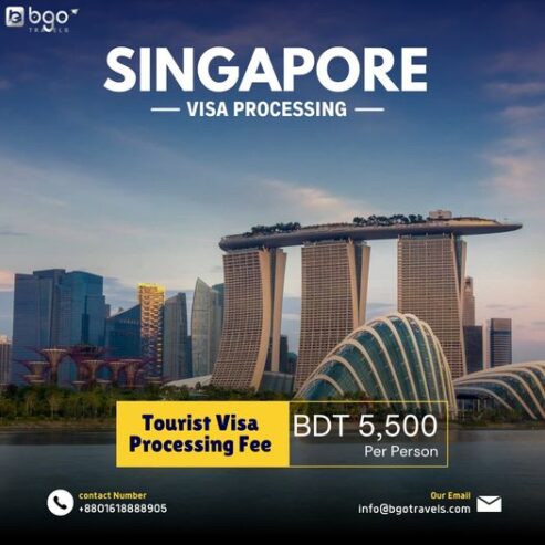 Singapore Visa Processing Service