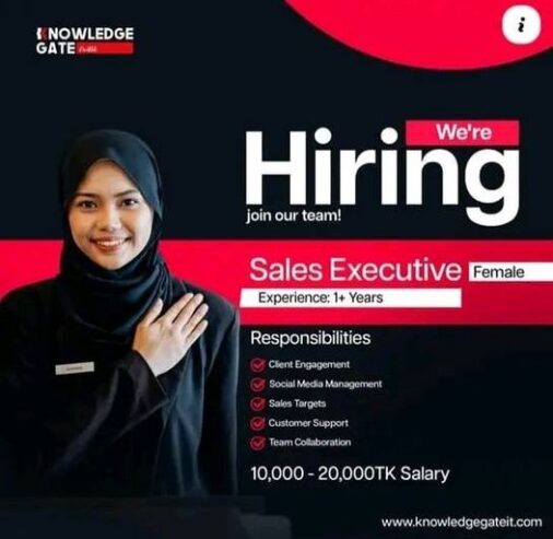 Sales Executive Job