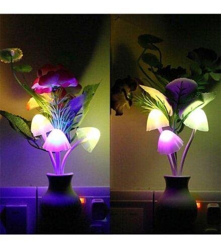 Colorful and Gentle LED Light