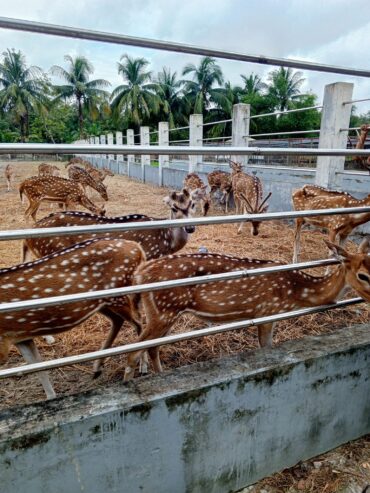 Sundarban Package Tour