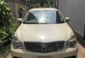 Nissan Bluebird Sylphy 2006 Model For Sale