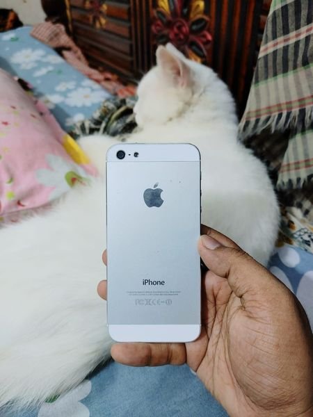 iPhone 5 for Sell in Dhaka