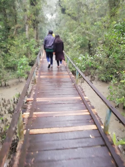Sundarban Package Tour