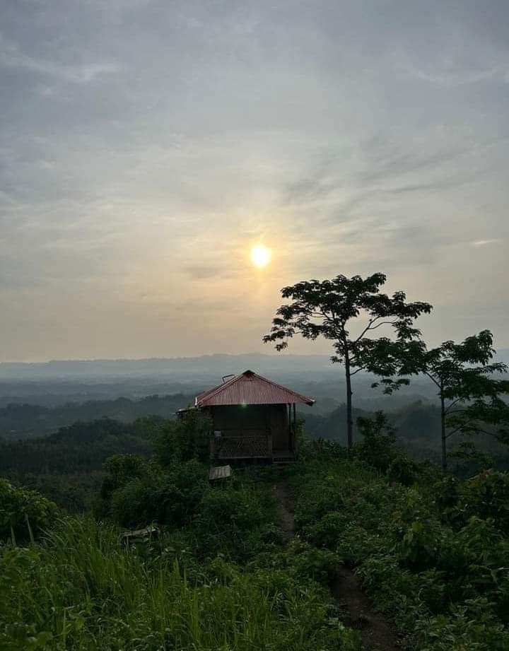 Camp IN Lama Resort in Bandarban Booking