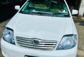 Toyota Fielder X 2004 Model For Sale