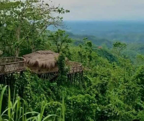 Camp IN Lama Resort in Bandarban Booking