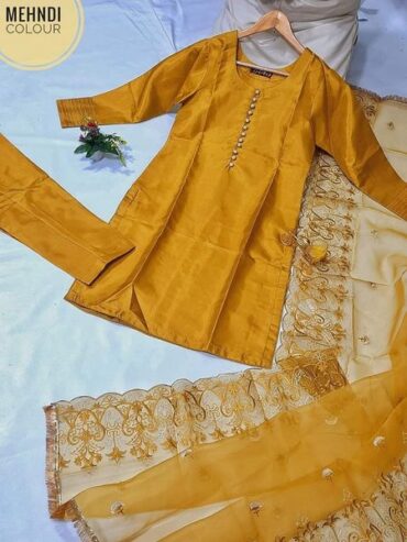 Pakistani Design Kameez Set