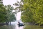 Sundarbans Package Tour in Bangladesh