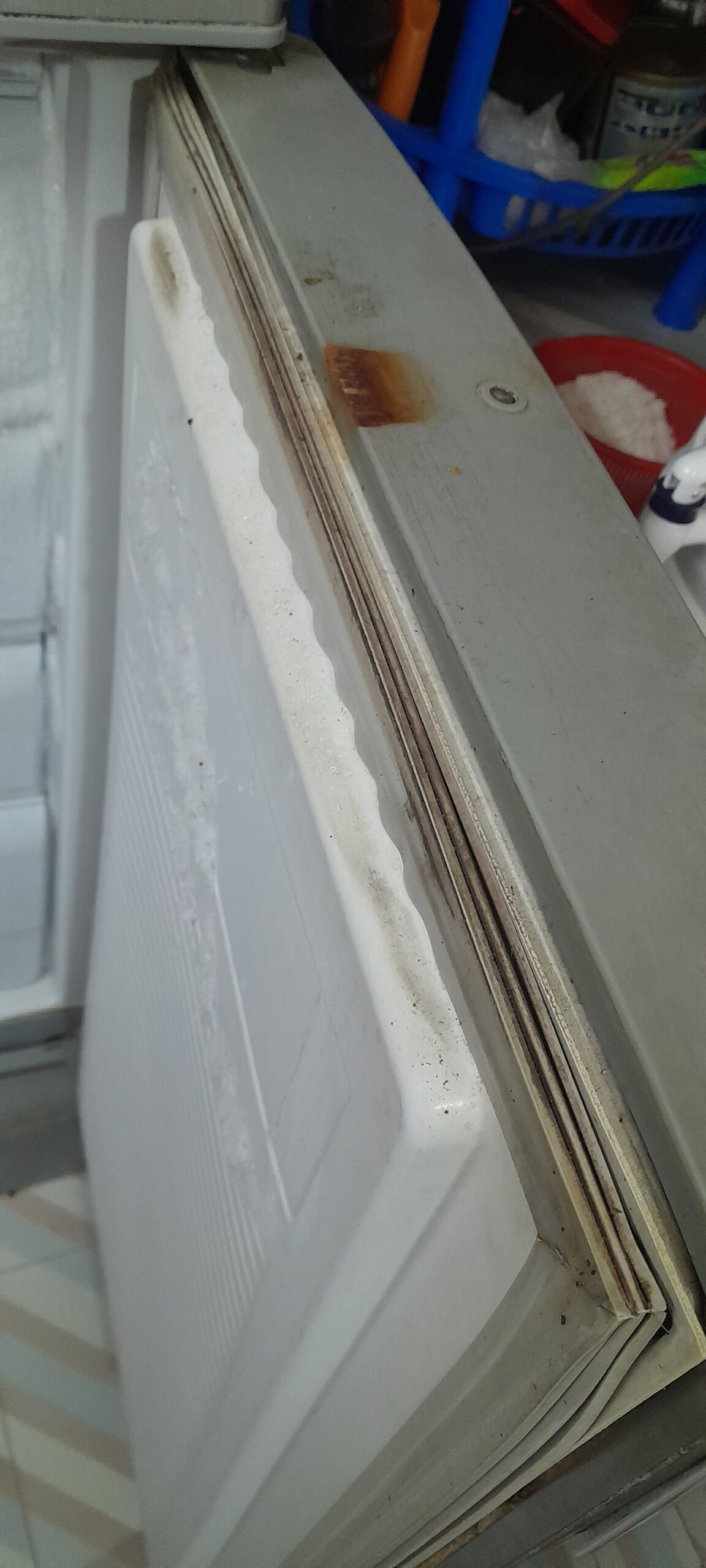 Walton W2D-2B6 Refrigerator For Sale in Chattogram