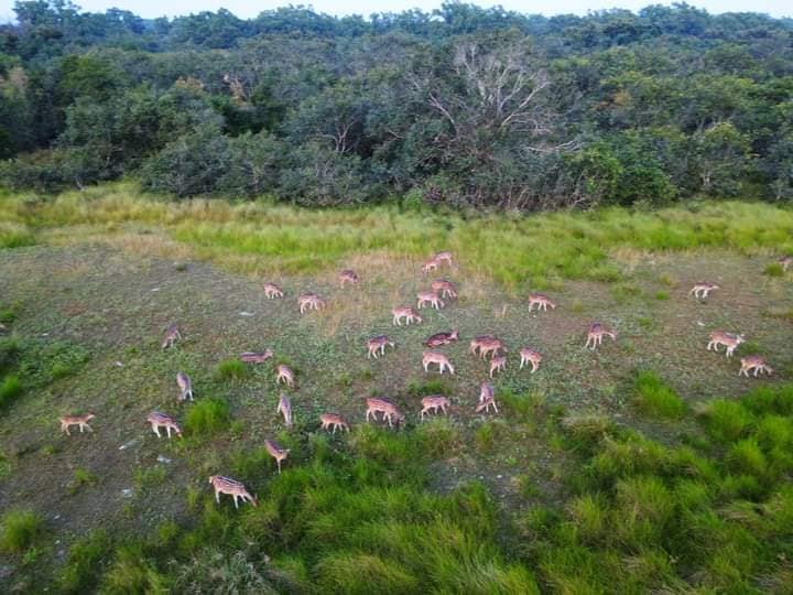 Sundarbans Tour Package in Dhaka