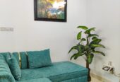 Furnished Apartment RENT in Bashundhara