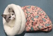 Cat Sleeping Bag