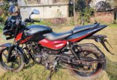 Pulsar Double Disk 2018 Mdoel For Sale