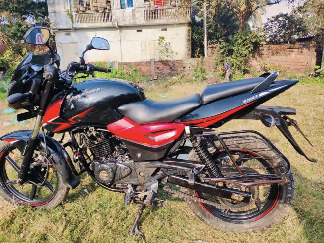 Pulsar Double Disk 2018 Mdoel For Sale