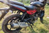 Pulsar Double Disk 2018 Mdoel For Sale