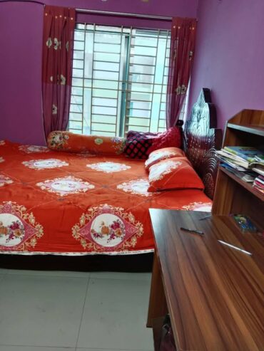 Bachelore House Rent Dhaka Mohammadpur