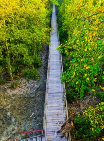 Sundarbans Package Tour in Dhaka in 2025