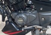 Bajaj Pulsar 150 Single Disk For Sale in Brahmanbaria