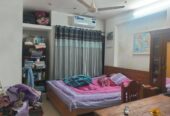 Bachelore Flat To-Let BD in Dhaka Dhanmondi