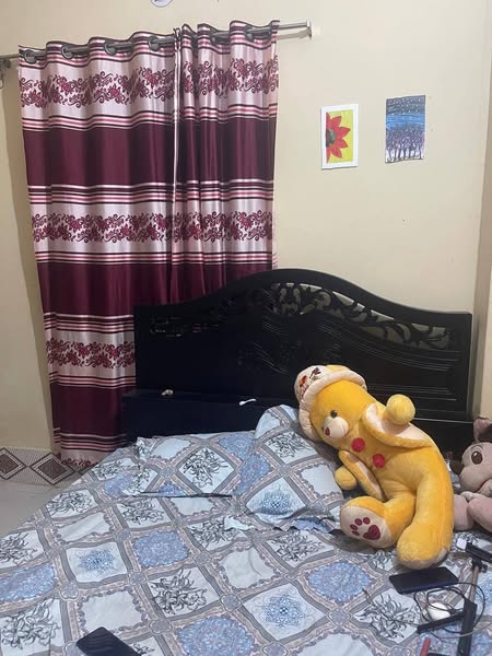 Female Bachelore House To-Let BD in Narsingdi Vagdi