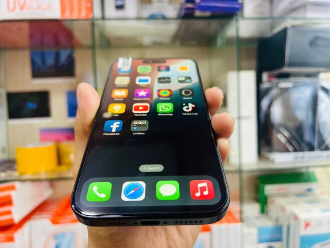 Apple I phone 16 pro max copy